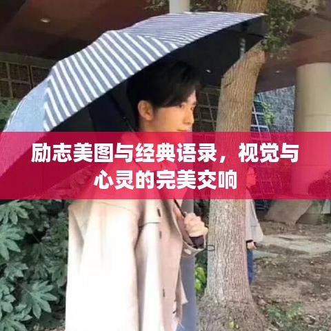 励志美图与经典语录，视觉与心灵的完美交响