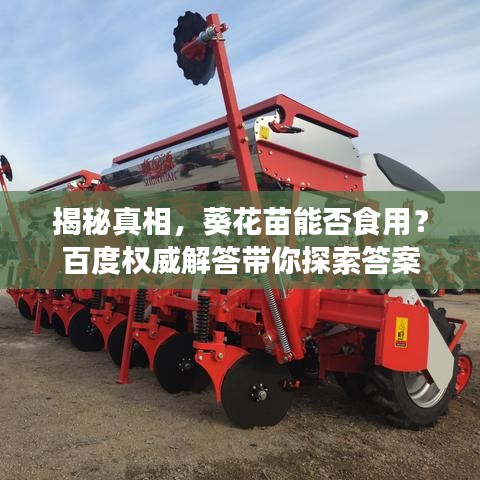 揭秘真相，葵花苗能否食用？百度权威解答带你探索答案