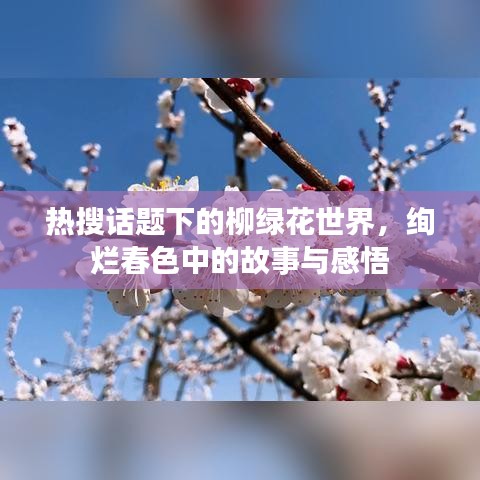 热搜话题下的柳绿花世界，绚烂春色中的故事与感悟