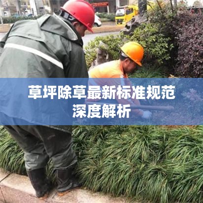 草坪除草最新标准规范深度解析