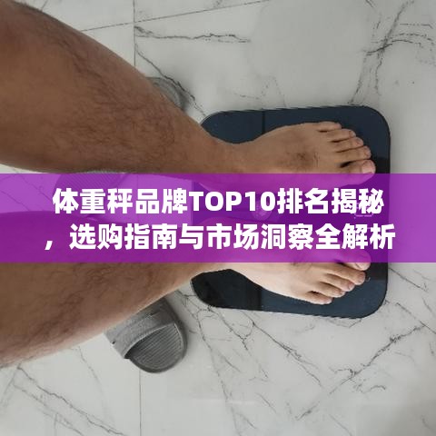 体重秤品牌TOP10排名揭秘，选购指南与市场洞察全解析
