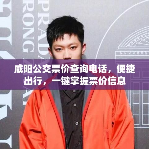 咸阳公交票价查询电话，便捷出行，一键掌握票价信息