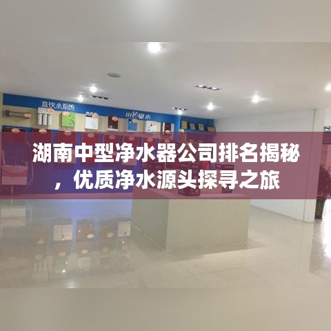 湖南中型净水器公司排名揭秘，优质净水源头探寻之旅
