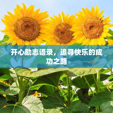 开心励志语录，追寻快乐的成功之路