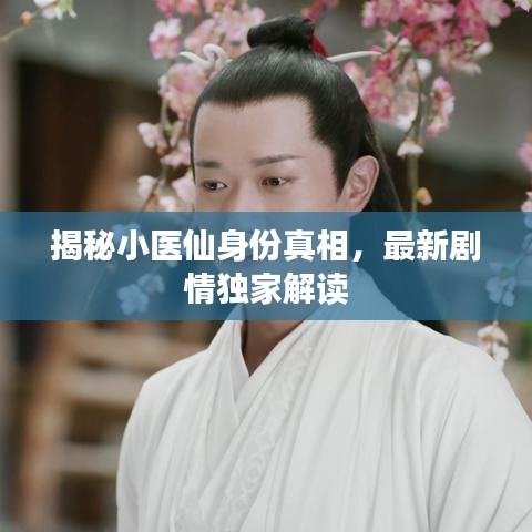 揭秘小医仙身份真相，最新剧情独家解读