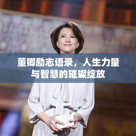 董卿励志语录，人生力量与智慧的璀璨绽放