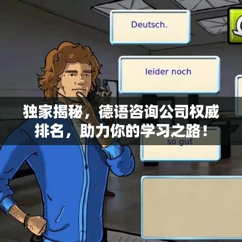 独家揭秘，德语咨询公司权威排名，助力你的学习之路！