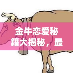 金牛恋爱秘籍大揭秘，最新爱情攻略掌握！