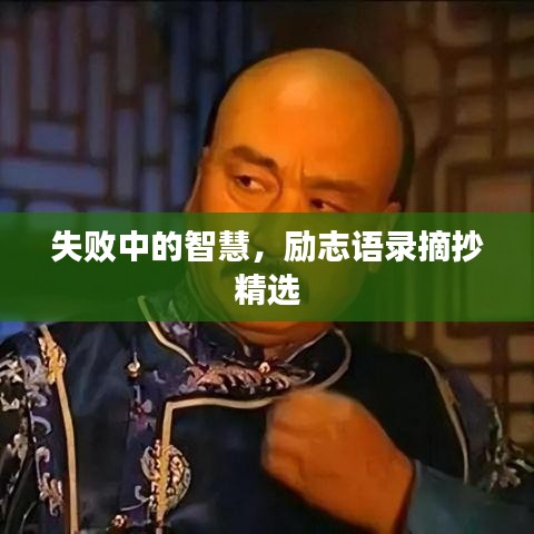 失败中的智慧，励志语录摘抄精选