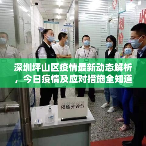 深圳坪山区疫情最新动态解析，今日疫情及应对措施全知道