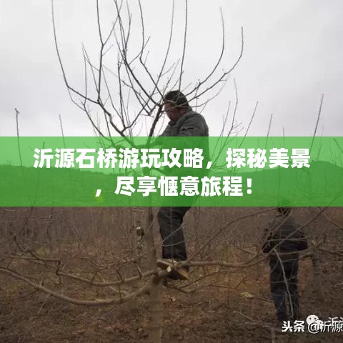 沂源石桥游玩攻略，探秘美景，尽享惬意旅程！