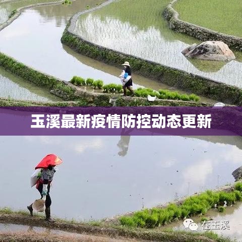 玉溪最新疫情防控动态更新