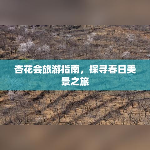 杏花会旅游指南，探寻春日美景之旅