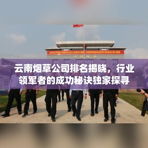 云南烟草公司排名揭晓，行业领军者的成功秘诀独家探寻