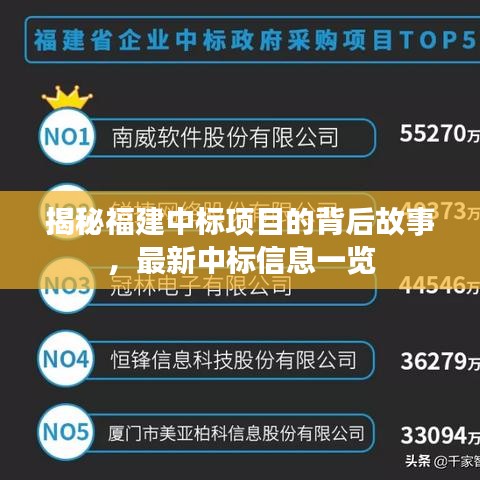 揭秘福建中标项目的背后故事，最新中标信息一览