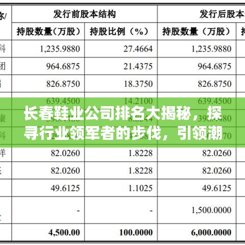 长春鞋业公司排名大揭秘，探寻行业领军者的步伐，引领潮流风向标！