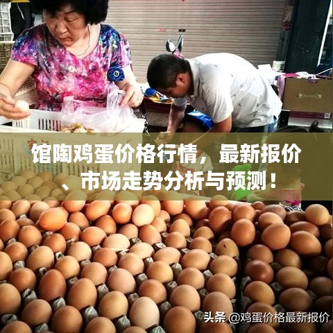 馆陶鸡蛋价格行情，最新报价、市场走势分析与预测！