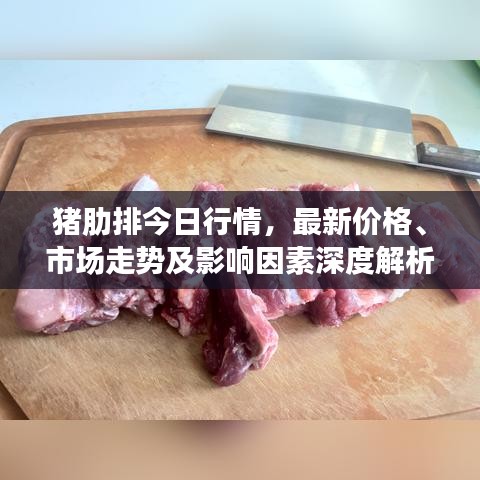 猪肋排今日行情，最新价格、市场走势及影响因素深度解析