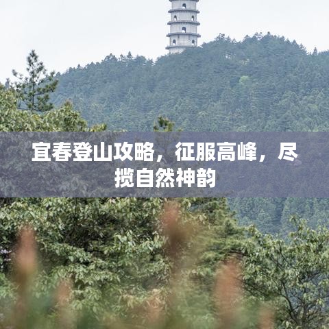 宜春登山攻略，征服高峰，尽揽自然神韵