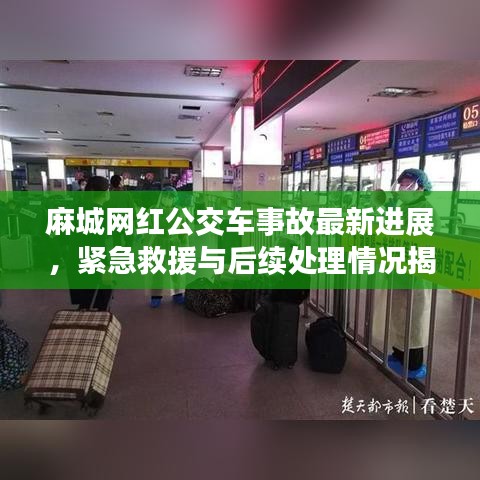 麻城网红公交车事故最新进展，紧急救援与后续处理情况揭秘