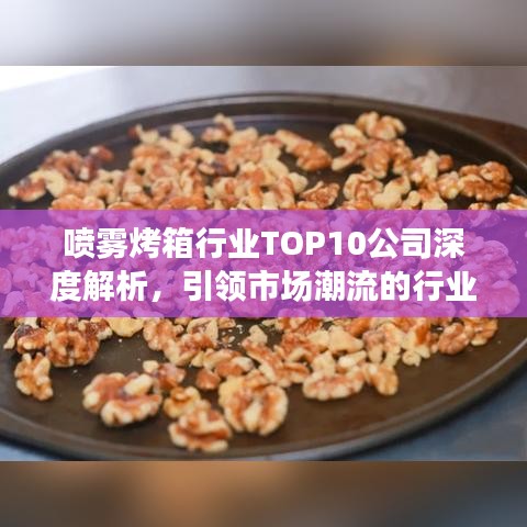 喷雾烤箱行业TOP10公司深度解析，引领市场潮流的行业领军者
