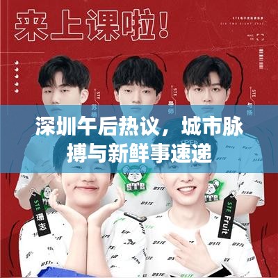 深圳午后热议，城市脉搏与新鲜事速递