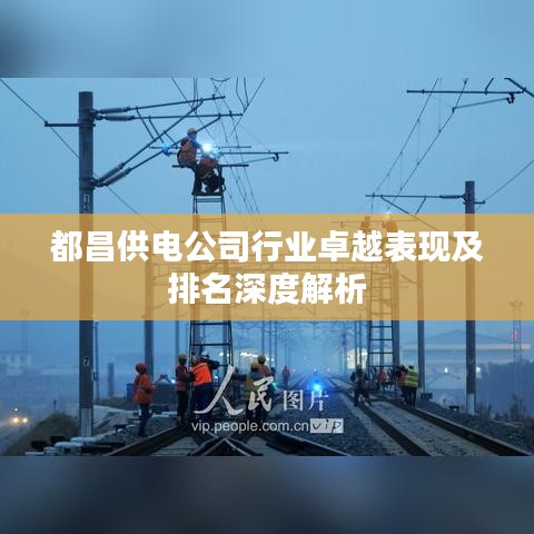 都昌供电公司行业卓越表现及排名深度解析