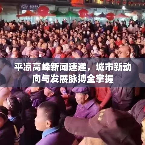 平凉高峰新闻速递，城市新动向与发展脉搏全掌握