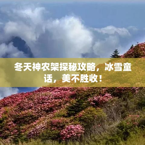 冬天神农架探秘攻略，冰雪童话，美不胜收！