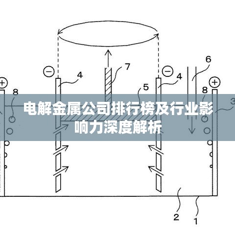 电解金属公司排行榜及行业影响力深度解析