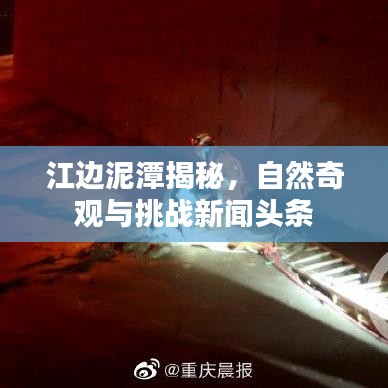 江边泥潭揭秘，自然奇观与挑战新闻头条