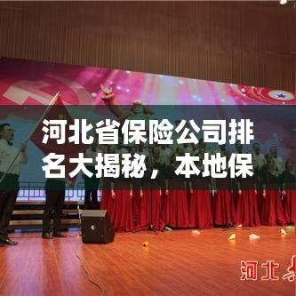 河北省保险公司排名大揭秘，本地保险行业权威解析