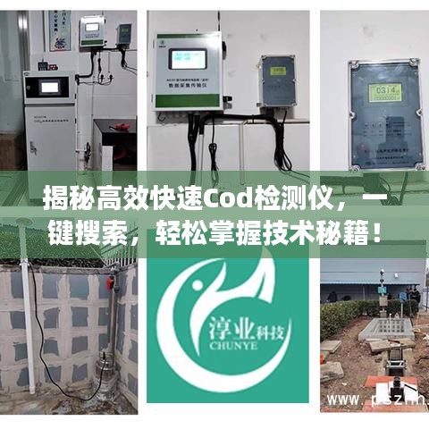 揭秘高效快速Cod检测仪，一键搜索，轻松掌握技术秘籍！