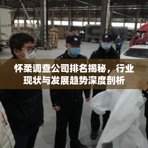 怀柔调查公司排名揭秘，行业现状与发展趋势深度剖析