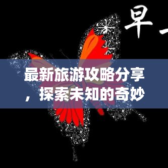 最新旅游攻略分享，探索未知的奇妙世界之旅