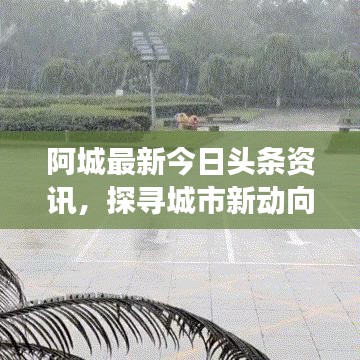 阿城最新今日头条资讯，探寻城市新动向发展