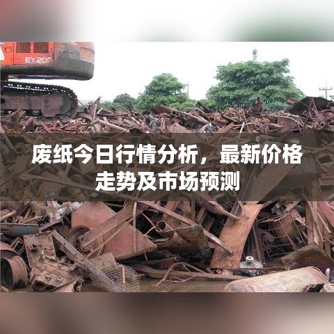废纸今日行情分析，最新价格走势及市场预测