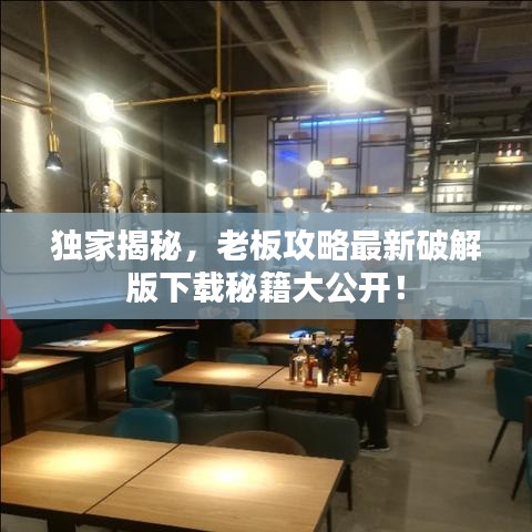 独家揭秘，老板攻略最新破解版下载秘籍大公开！