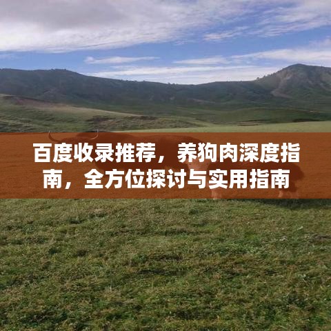 百度收录推荐，养狗肉深度指南，全方位探讨与实用指南