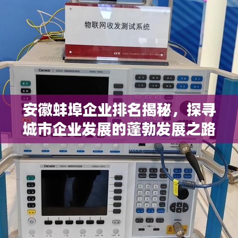 安徽蚌埠企业排名揭秘，探寻城市企业发展的蓬勃发展之路