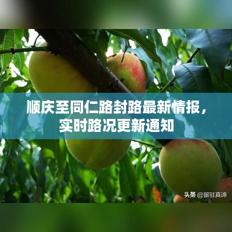 顺庆至同仁路封路最新情报，实时路况更新通知