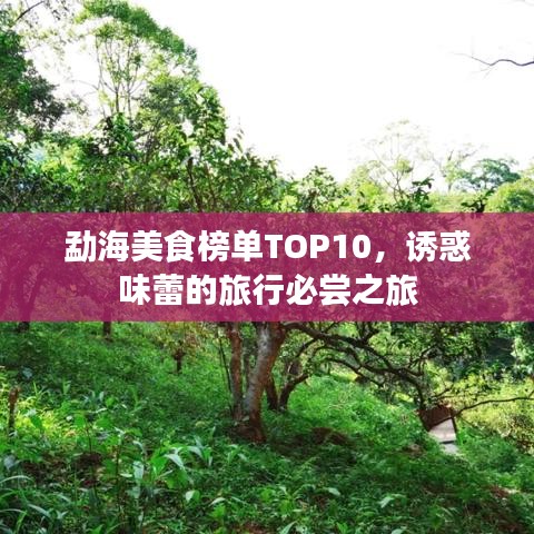 勐海美食榜单TOP10，诱惑味蕾的旅行必尝之旅