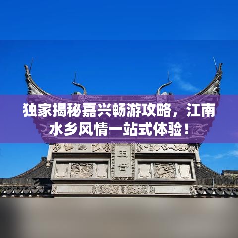 独家揭秘嘉兴畅游攻略，江南水乡风情一站式体验！