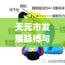 天元市发展脉搏与民生温度同步提升，城市新闻头条揭秘