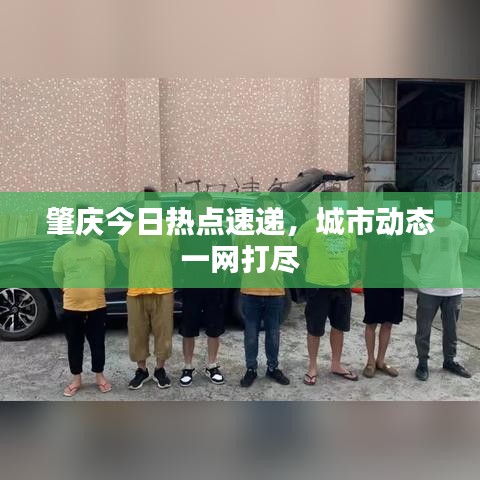 肇庆今日热点速递，城市动态一网打尽
