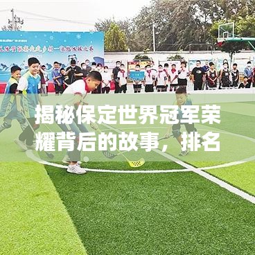 揭秘保定世界冠军荣耀背后的故事，排名与传奇之旅探秘