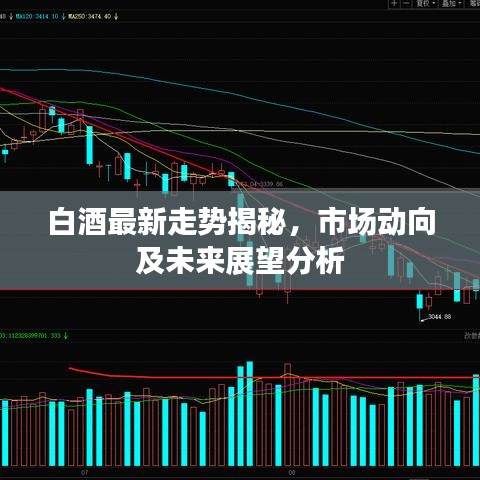 白酒最新走势揭秘，市场动向及未来展望分析