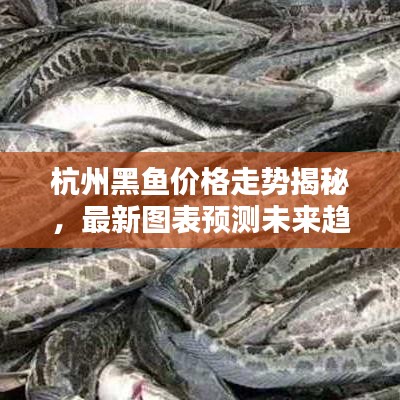 杭州黑鱼价格走势揭秘，最新图表预测未来趋势分析