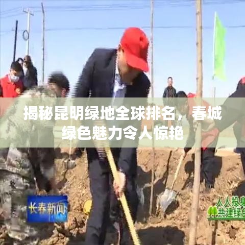 揭秘昆明绿地全球排名，春城绿色魅力令人惊艳