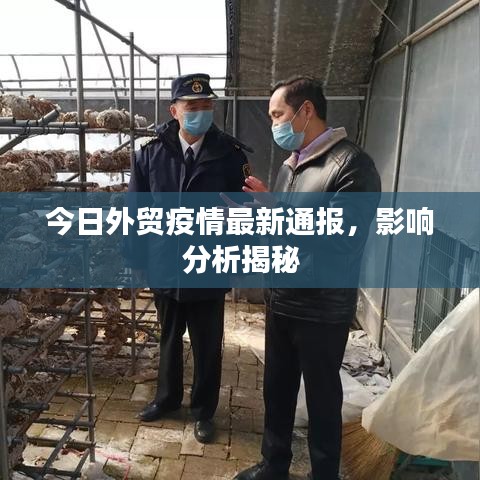 今日外贸疫情最新通报，影响分析揭秘